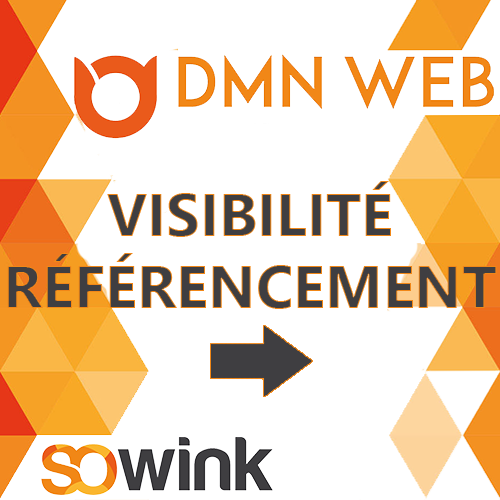 DMN-WEB-aide-numerique-05-REFERENCEMENT-4