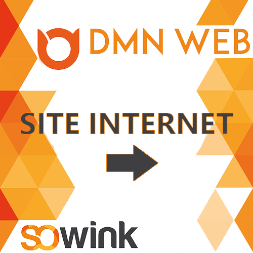 DMN-WEB-aide-numerique-05-SITE-INTERNET-4