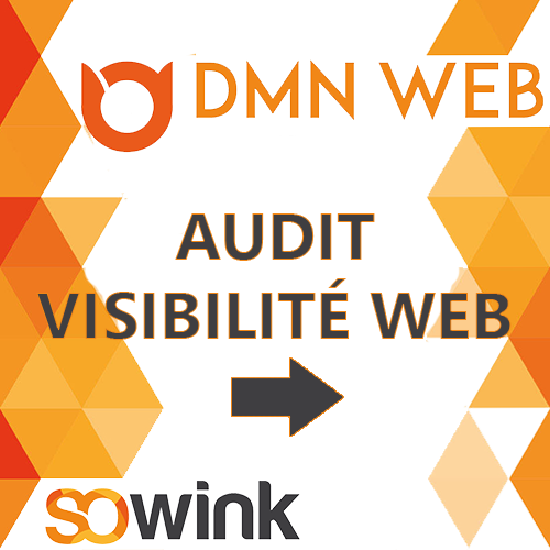 DMN-WEB-aide-numerique-05-VISIBILITE-WEB-4